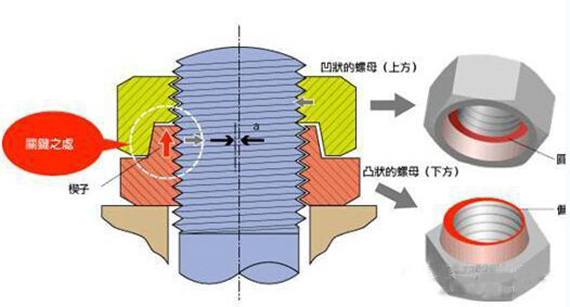 螺母3.jpg